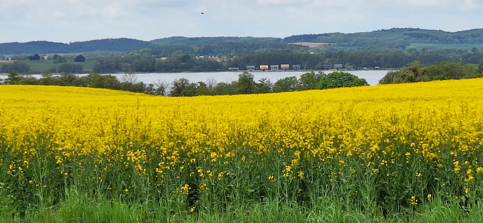 Ferienhausidylle mit Motorboot und Kanu, Bild 15